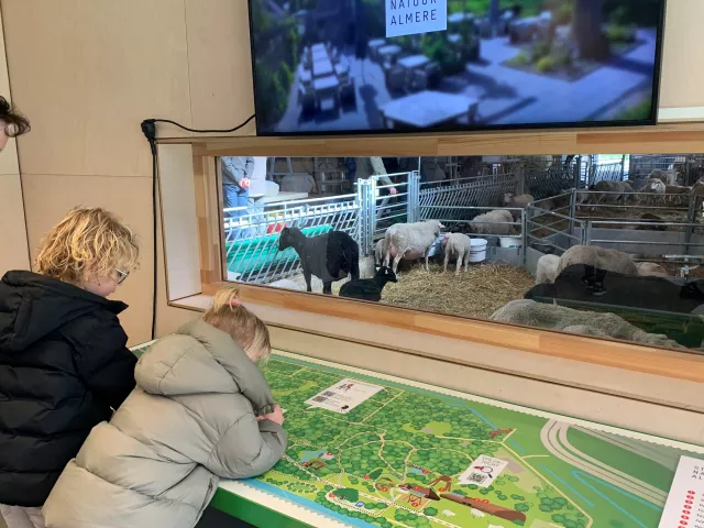 Het vroege vogelbos in Almere